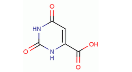 Orotic Acid(CAS:65-86-1)