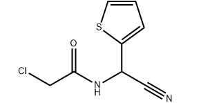 2-Chloro-N-(Cyano-2-Thienylmethyl)Acetamide(CAS:263137-41-3)