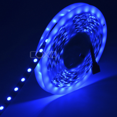 A5050-60-RGB-V12-P10