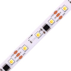 S2811-60-CCT-V12-R80-P10