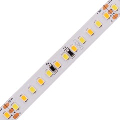 HL2835-168-CCT-V24-R90-P10