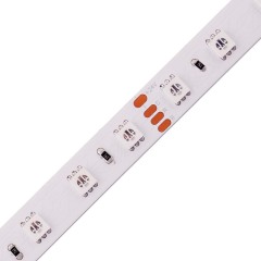 BPL5050-60-RGB-V24-P12