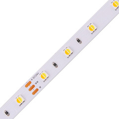 A3838-60-CCT-V12-R80-P8