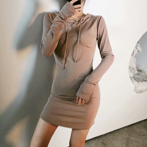 Hooded Long Sleeve Sweatshirt Dress