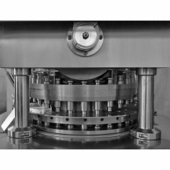 ZP-29D Rotary Tablet Press Machine