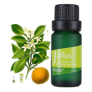 Plant Essential Oil Extraction Machine