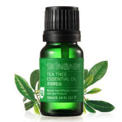 Plant Essential Oil Extraction Machine