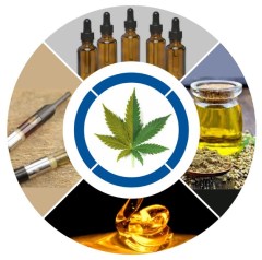 Molecular Distillation Equipment for CBD, MCT, Fish Oil etc.