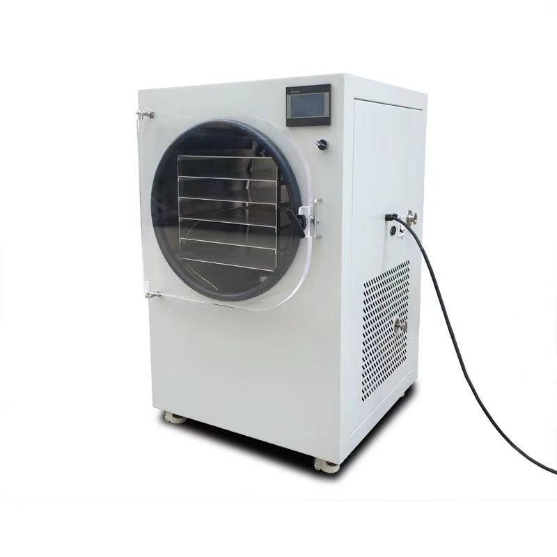 Home use small vacuum freeze dryer