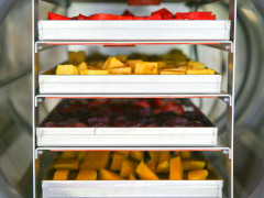 Home use small vacuum freeze dryer