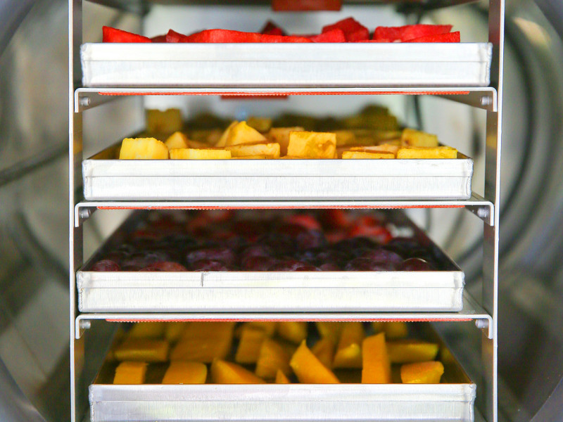Home use small vacuum freeze dryer
