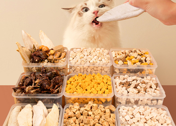 Pet Snacks Freeze Dried