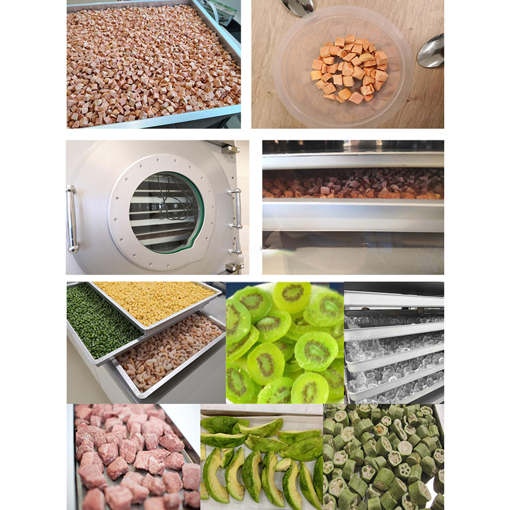 Freeze Dryer Food Type Household | LPMIE