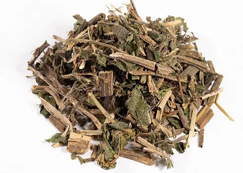 The dried Chinese herbal medicine, Humulus scandens, is a traditional Chinese medicinal herb