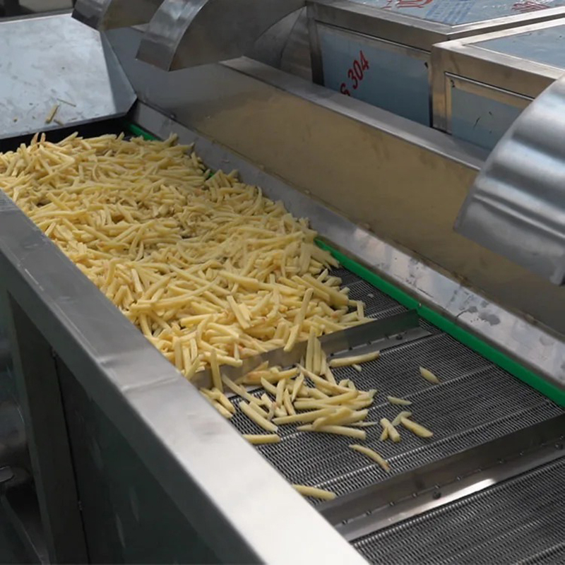 Potato Chip Fryer