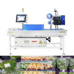 Automatic Weighing And Labeling Machine