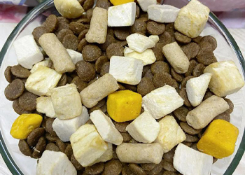 Freeze-dried dog food