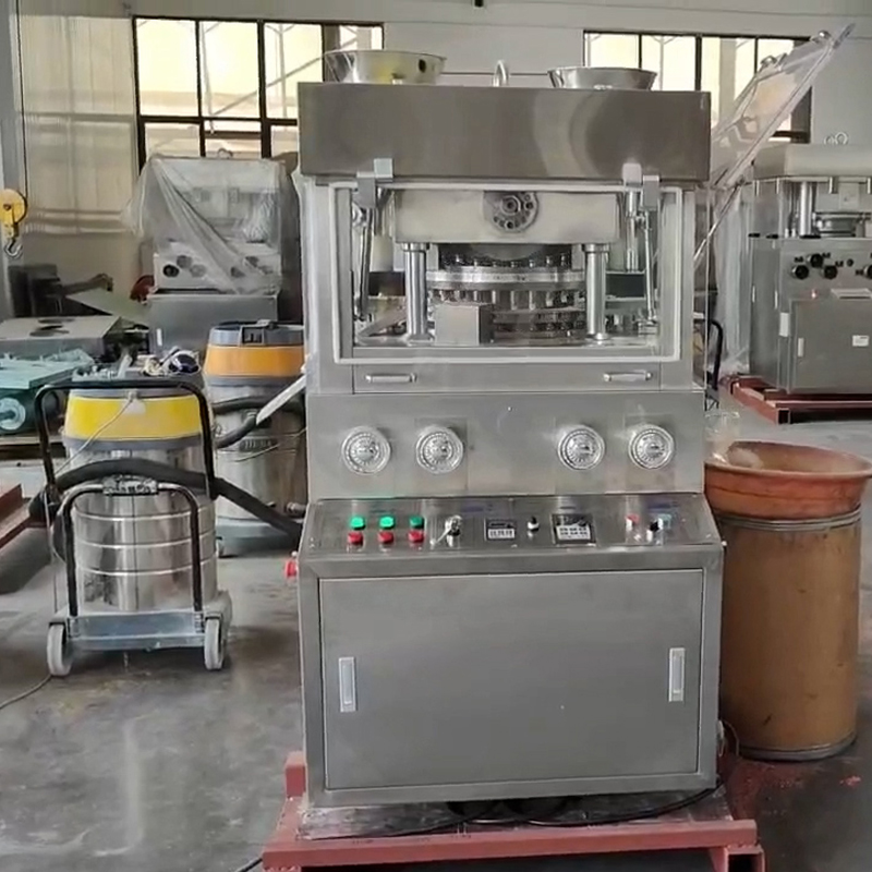 ZPW Series Double Rotary Tablet Press | LPMIE