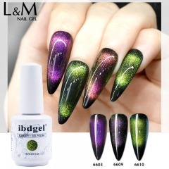 【9D Cat Eyes Gel 】1pc ibdgel Galaxy 9D Cat Eyes Gel Polish 10 Colors for Choice