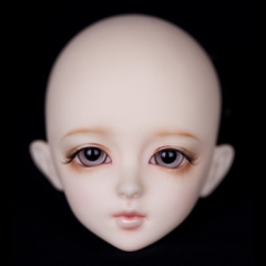 Cygnus (Face up)