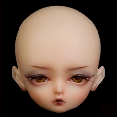 Scorpio sp P  (Face up)