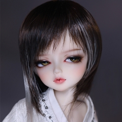 1/6 brown& gray long hair