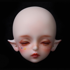 wagashi sp (faceup)