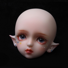 wagashi(faceup)