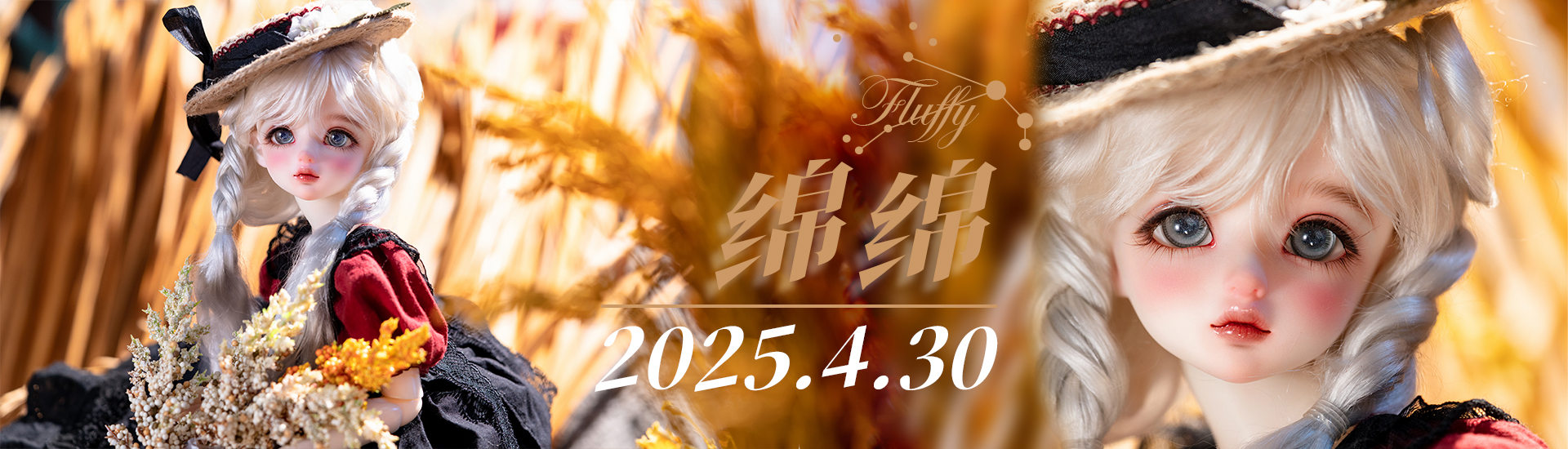 AS65cm-Lucy/AS2025spr.