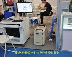 特域CW-5000冷水機冷卻紫外打標機