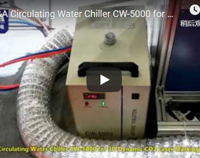 特域迴圈冷水機CW-5000冷卻玻璃管三維動態打標機