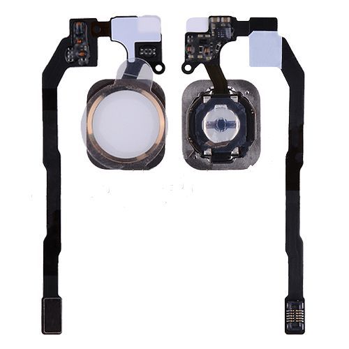 Home Button with Flex Cable Ribbon for iPhone 5S/ SE - White+Gold