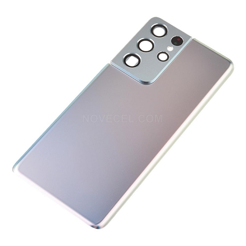 Back Cover with Camera Glass Lens for Samsung Galaxy S21 Ultra/G996_Silver