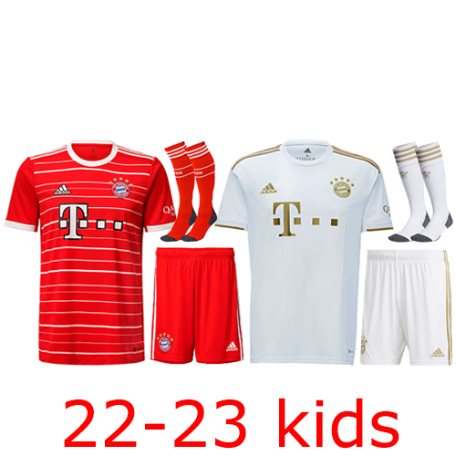 2022-2023 Bayern adult + Socks Set Thailand the best quality