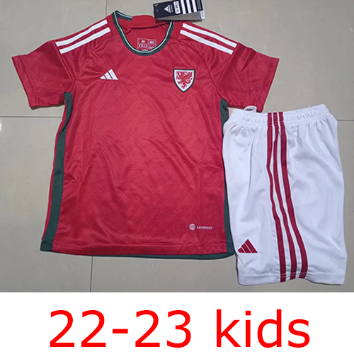 2022-2023 Welsh Kids World Cup adult Thailand the best quality