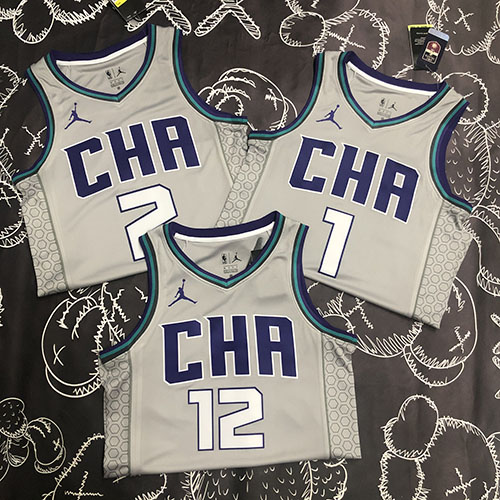 2023 Charlotte Hornets NBA basketball adult Hot press grey