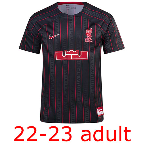 2022-2023 Liverpool LeBron James adult Thailand the best quality