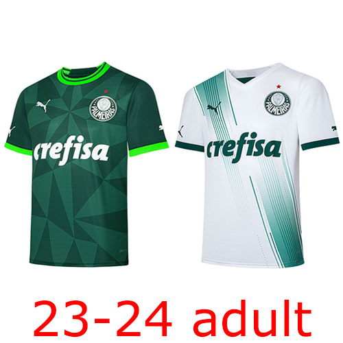 2023-2024 Palmeiras adult Thailand the best quality