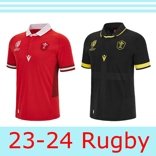 2023-2024 Welsh Men's Adult Rugby