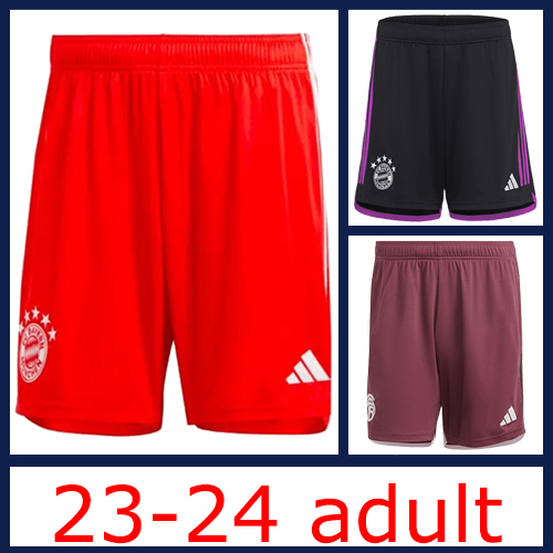 2023-2024 Bayern Adult Shorts Best Quality