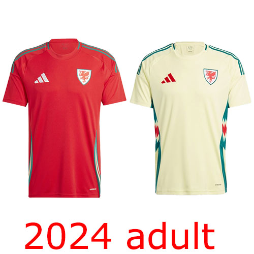 2024 Welsh adult the best quality