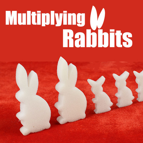 Multiplying Rabbits