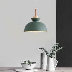 Modern Dome Shaped 1 Light 11.02