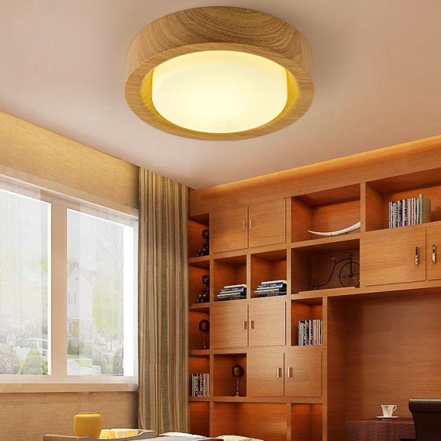 Modern 12 Watt LED Flush Mount Ceiling Light for Bedroom Lighting