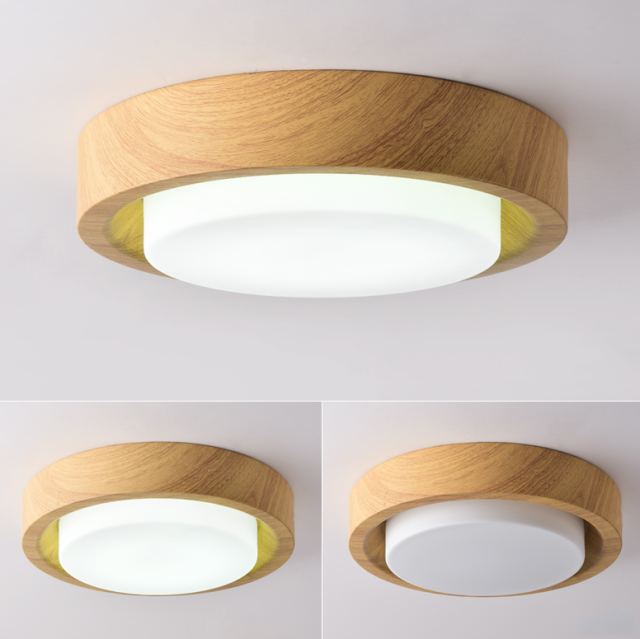 Modern 12 Watt LED Flush Mount Ceiling Light for Bedroom Lighting