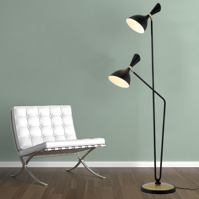 Modern Style 2 Light Dual-head Floor Lamp in Black