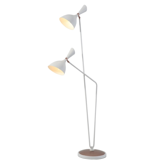 Modern Style 2 Light Dual-head Floor Lamp in Black