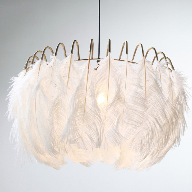 Northern Lighting 1 Light Feather Chandelier in Brass for Bedroom Living Room