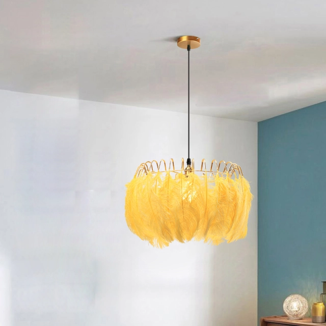 Northern Lighting 1 Light Feather Chandelier in Brass for Bedroom Living Room