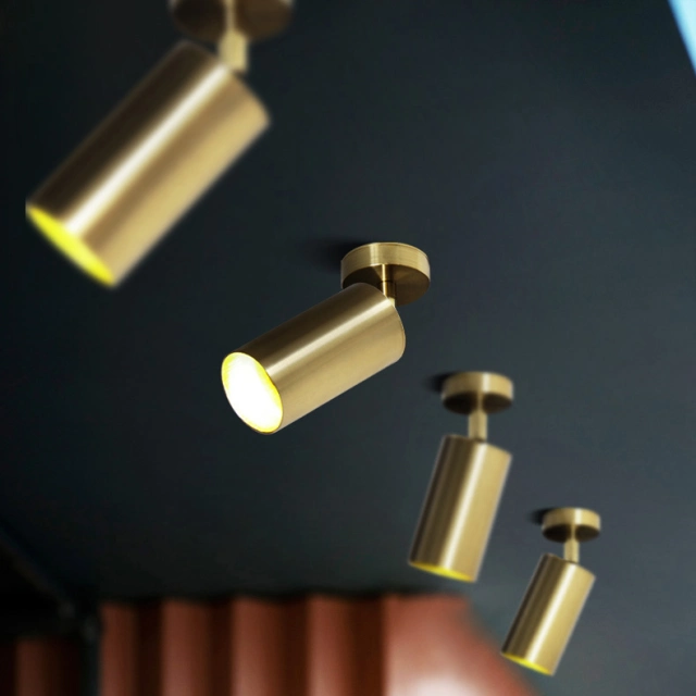 Mid Century Modern 1 Light LED Brass Ceiling Light Spot Light for Living Room/Bar/Restaurant